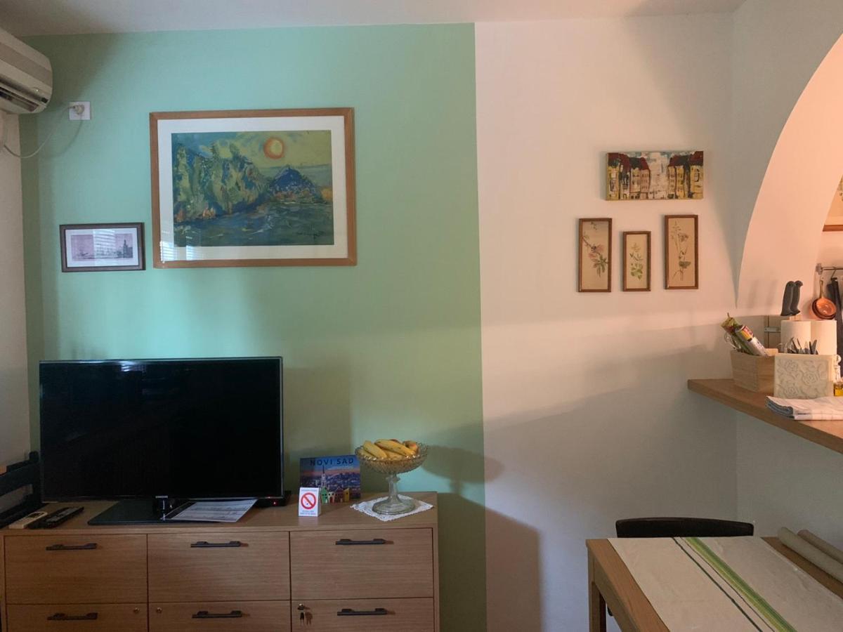 Artloft Διαμέρισμα Νόβι Σαντ Εξωτερικό φωτογραφία